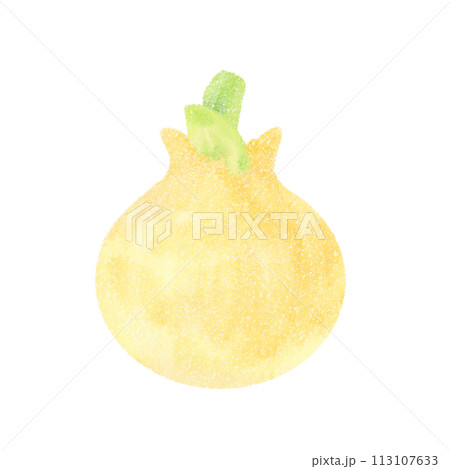 かわいい玉ねぎのイラスト かわいい玉ねぎのイラスト 113107633