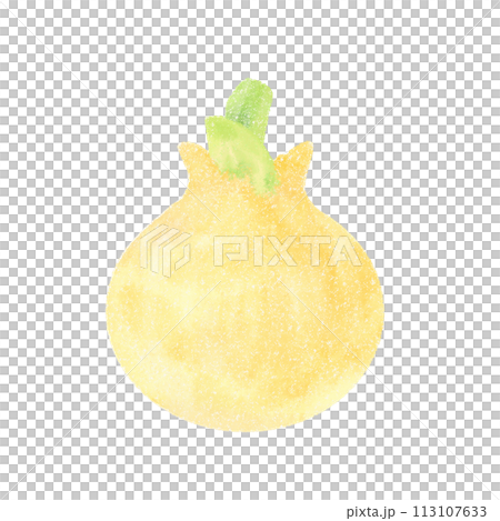 かわいい玉ねぎのイラスト かわいい玉ねぎのイラスト 113107633