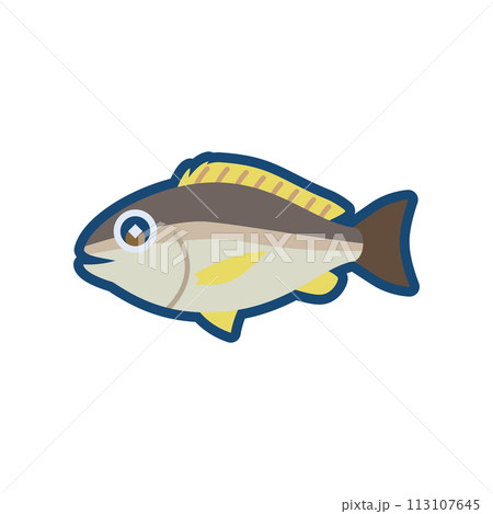 かわいいイサキのイラスト かわいいイサキのイラスト 113107645