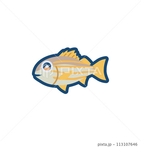 かわいいスジミゾイサキのイラスト かわいいスジミゾイサキのイラスト 113107646