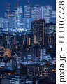 東京（新宿）の夜景 113107728