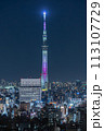 東京スカイツリーの夜景 113107729