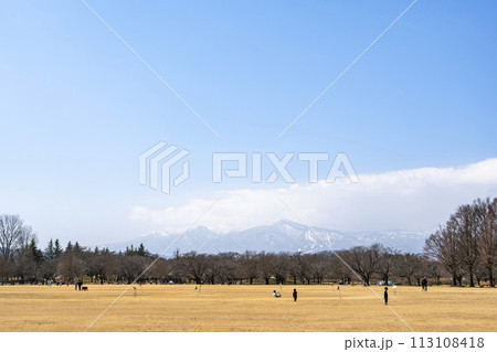 公園の風景　早春の広場　宮城県川崎町 113108418