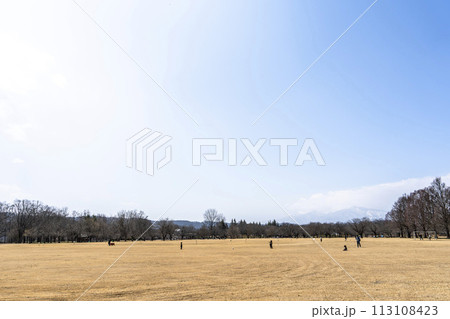 公園の風景　早春の広場　宮城県川崎町 113108423