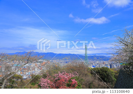 愛媛県 松山市 松山城から見る桜と松山の街並 113108640
