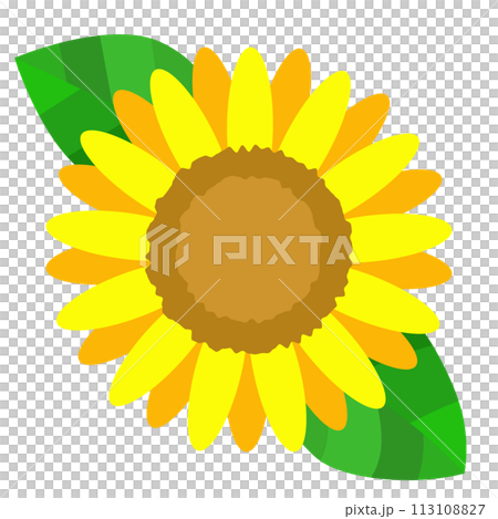 Simple original sunflower illustration 113108827