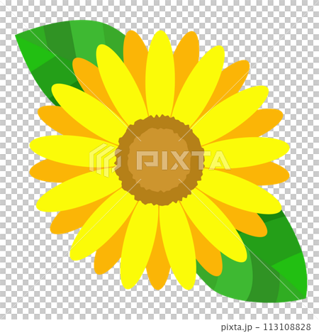 簡單的向日葵原創插畫 113108828