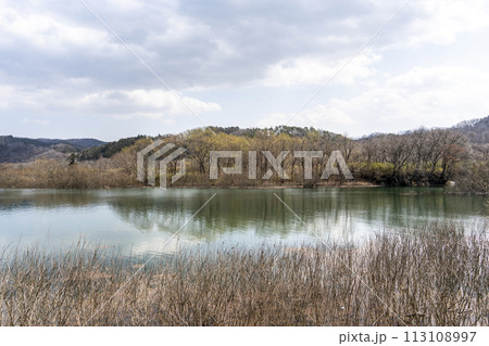 早春の国営みちのく湖畔公園からみた釜房ダム　宮城県川崎町 113108997