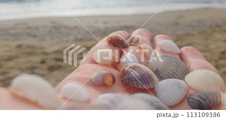 hand with seashells on the background of the sea hand with seashells on the background of the sea 113109386
