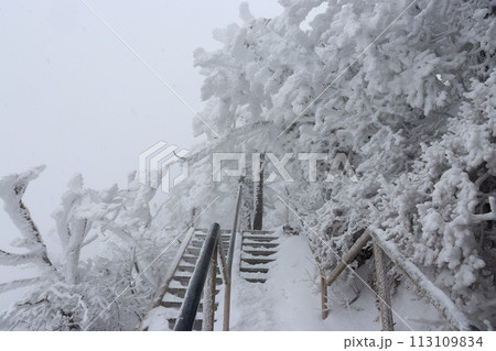 冬の石鎚山の霧氷 113109834
