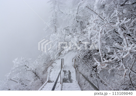 冬の石鎚山の登山道 冬の石鎚山の登山道 113109840