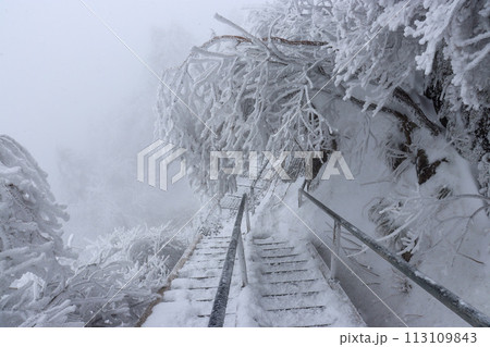 冬の石鎚山の登山道 113109843