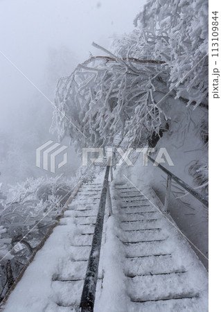 冬の石鎚山の登山道 冬の石鎚山の登山道 113109844