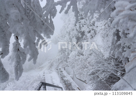冬の石鎚山の登山道 113109845