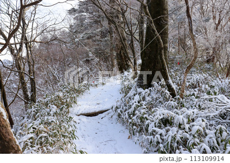冬の石鎚山の登山道 冬の石鎚山の登山道 113109914