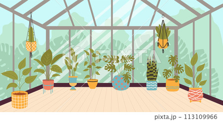 Glasshouse or botanical garden with plants. Vector illustration. Glasshouse or botanical garden with plants. Vector illustration. 113109966