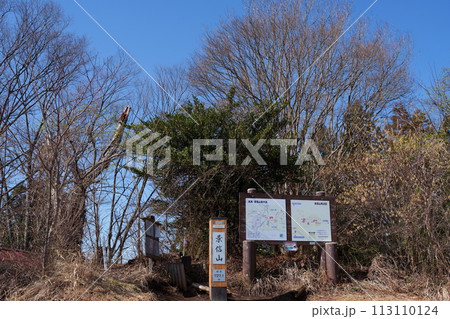 早春の景信山 113110124