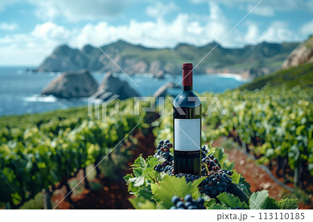 Bottle of Wine on Lush Green Field 113110185