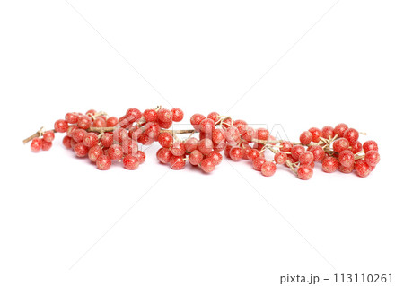 Red Buffaloberry or Soapberry on white background 113110261