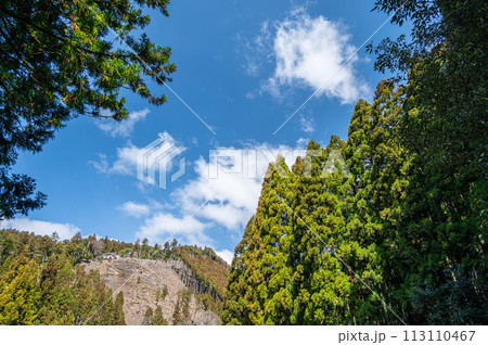 京都洛北鞍馬の針葉樹林と鞍馬山 京都洛北鞍馬の針葉樹林と鞍馬山 113110467