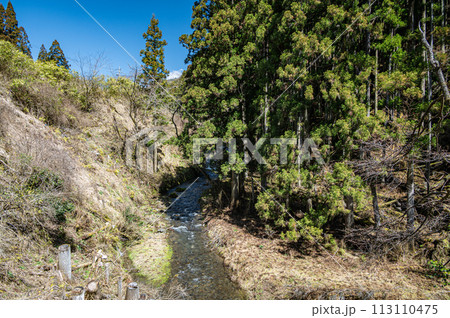鞍馬川の急流 京都市 鞍馬川の急流 京都市 113110475