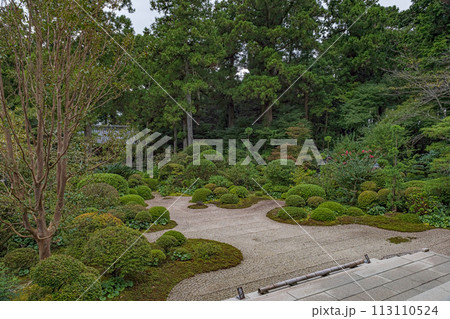 静岡 龍潭寺 本堂前庭の風景 113110524