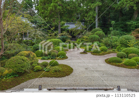 静岡 龍潭寺 本堂前庭の風景 113110525