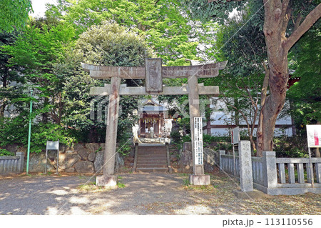青渭神社（調布） 113110556