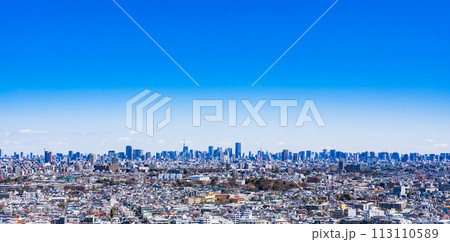 日本 の 首都 東京 の パノラマビュー 【 Tokyo city panorama view 】 日本 の 首都 東京 の パノラマビュー 【 Tokyo city panorama view 】 113110589