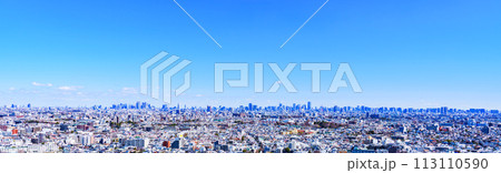 日本 の 首都 東京 の パノラマビュー 【 Tokyo city panorama view 】 113110590