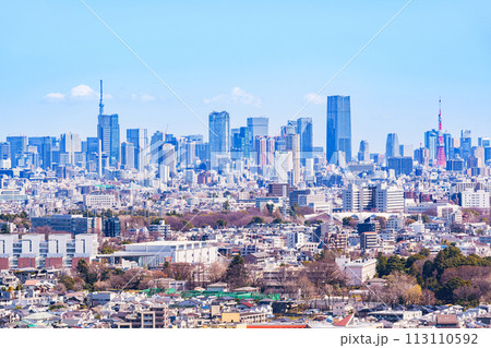 日本 の 首都 東京 の パノラマビュー 【 Tokyo city panorama view 】 日本 の 首都 東京 の パノラマビュー 【 Tokyo city panorama view 】 113110592