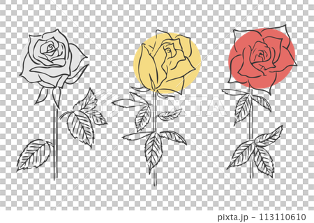 手繪線描月季花(3種) 手繪線描月季花(3種) 113110610