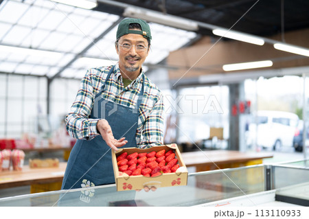 イチゴを売るシニア男性 イチゴを売るシニア男性 113110933