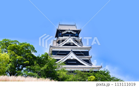 天守閣 の 修復 が終わった 熊本城 【 熊本 の 復興 の シンボル 】 113111019