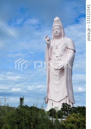 宮城県仙台市泉区　仙台大観音 113111541