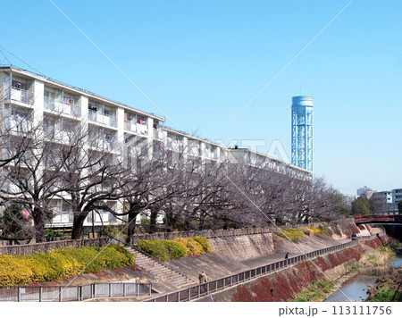 団地 昭和の団地　都営団地 集合住宅 113111756