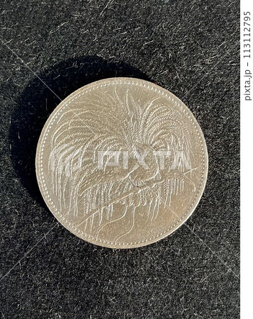 大戦前ドイツ領であったニューギニア島で使われていた2マルク銀貨極楽鳥が描かれている珍しいコイン。 大戦前ドイツ領であったニューギニア島で使われていた2マルク銀貨極楽鳥が描かれている珍しいコイン。 113112795