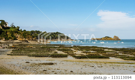 Panoramic view of traditional oyster farm at low tide in a bright sunny day, Cancale coast, Brittany, France Panoramic view of traditional oyster farm at low tide in a bright sunny day, Cancale coast, Brittany, France 113113094