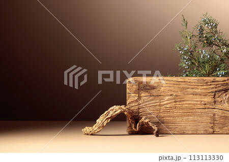 Abstract composition of old wooden plank and juniper branch. Abstract composition of old wooden plank and juniper branch. 113113330