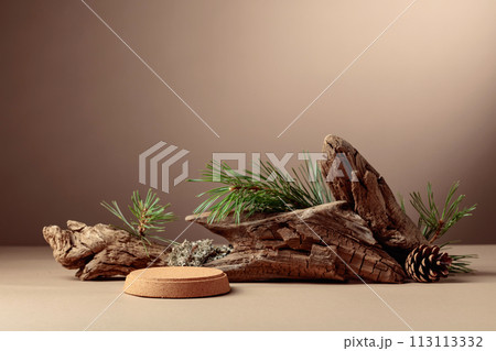 Abstract north nature scene with a composition of lichen, pine branches, and dry snags. 113113332