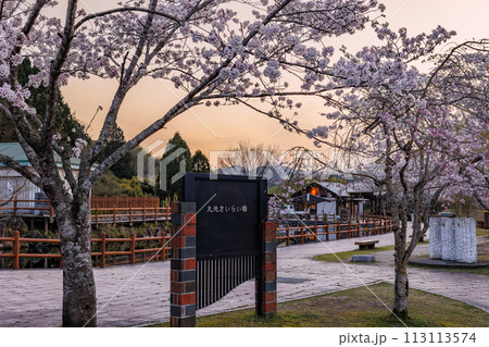 丸池湧水(日本名水百選) 春の夕景 丸池湧水(日本名水百選) 春の夕景 113113574