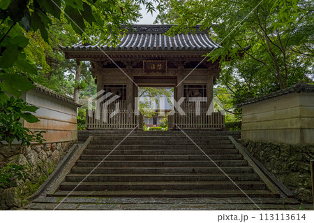 静岡 龍潭寺の仁王門 113113614