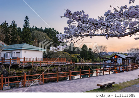 丸池湧水（日本名水百選）　春の夕景 113113689