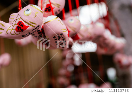 魚 魚類 サカナ 113113758