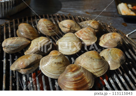 Fresh clams are grilled on a brazier and eaten. 113113843