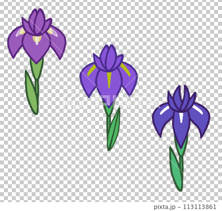 Simple hand-drawn irises, irises, and iris flowers 113113861
