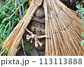 蓑をかぶった七福神の石像 113113888