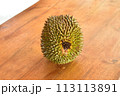 机の上のドリアン 113113891