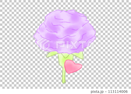 康乃馨與可愛的心 113114006