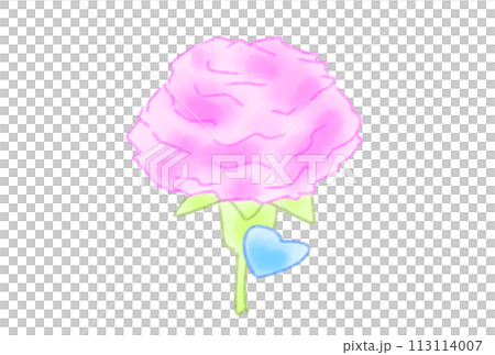 かわいいハート付きカーネーション 113114007